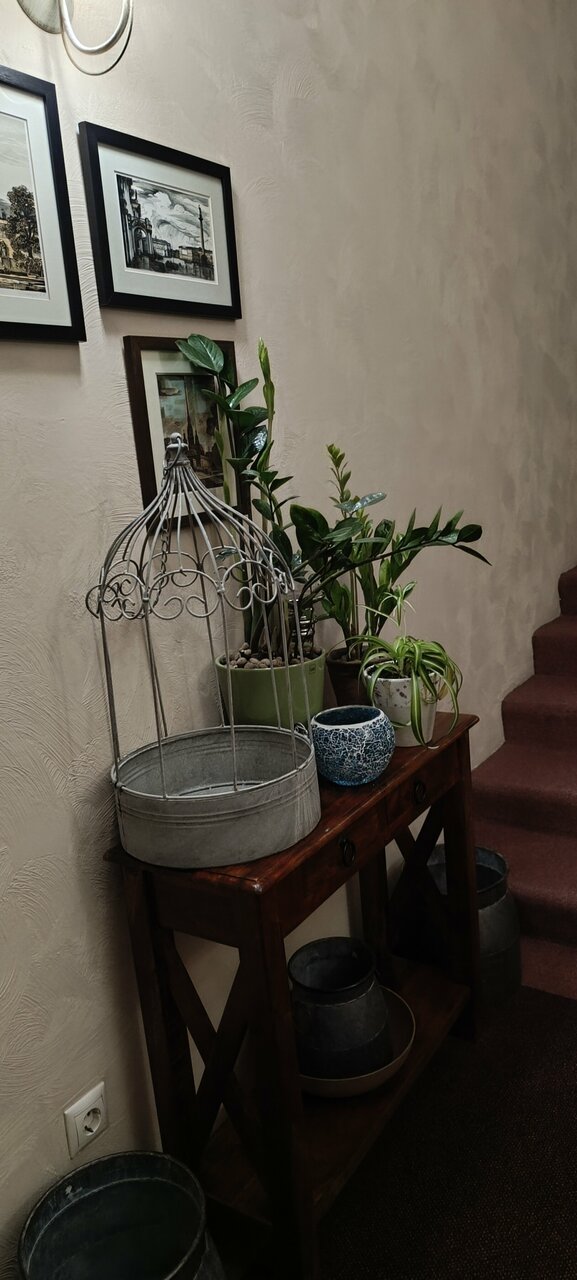 Гостиница Дворы Капеллы Санкт-Петербург-71